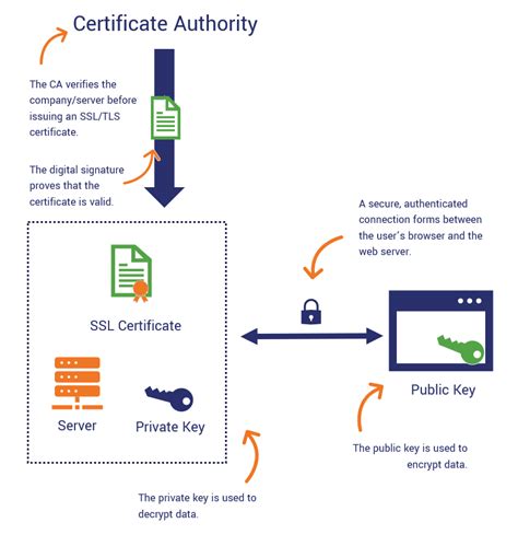 Comparing Different SSL/TLS Certificate Types: Domain Validation vs Extended Validation